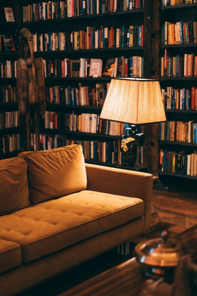 Bookshelf with a View